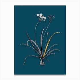Vintage Allium Fragrans Black and White Gold Leaf Floral Art on Teal Blue n.0946 Canvas Print