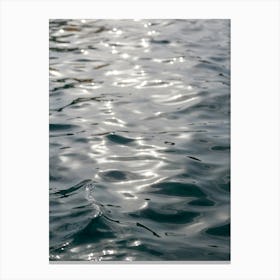 Water Ripples Canvas Print