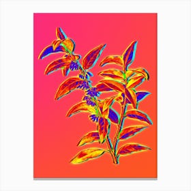 Neon Andromeda Acuminata Bloom Botanical in Hot Pink and Electric Blue n.0210 Canvas Print