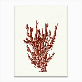 017 Coral Linocut Canvas Print