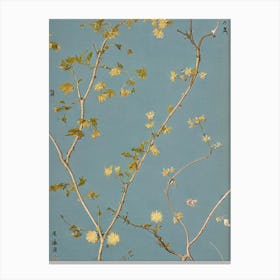 Japanese Zelkova 2 tree Vintage Botanical Canvas Print