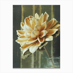 Dahlia Canvas Print