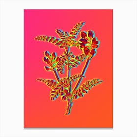 Neon Calophaca Wolgarica Botanical in Hot Pink and Electric Blue Canvas Print