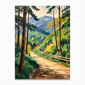 Road To The Mountains Canvas Print