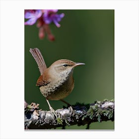 House Wren -Reimagined 10 Canvas Print