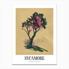 Sycamore Tree Colourful Illustration 4 Poster Canvas Print