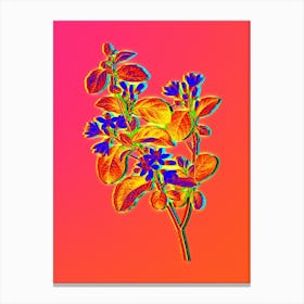 Neon Snowdrop Bush Botanical in Hot Pink and Electric Blue n.0236 Canvas Print