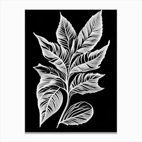 Stevia Leaf Linocut 1 Canvas Print