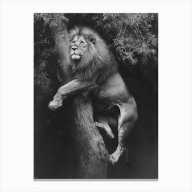 Barbary Lion Charcoal Drawing Panthera Leo Leo Climbing A Tree 4 Canvas Print