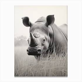 Black Rhinoceros Realism 1 Canvas Print