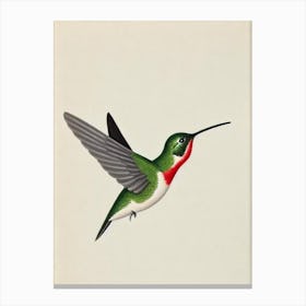Hummingbird Illustration Bird Canvas Print