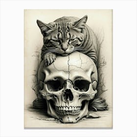 Cat On A Skull Canvas Print