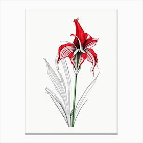 Amaryllis Floral Minimal Line Drawing 1 Flower Canvas Print