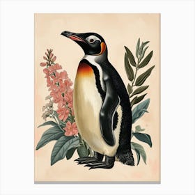 Adlie Penguin Isabela Island Vintage Botanical Painting 4 Canvas Print