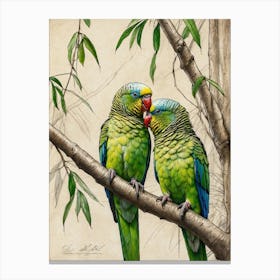 Two Parrots Canvas Print