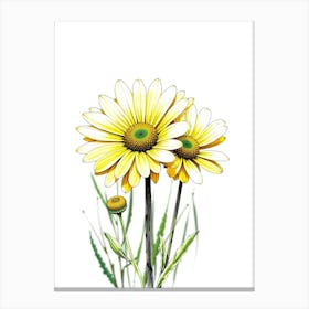 Daisy 1 Canvas Print