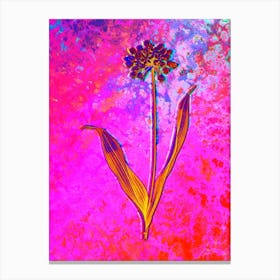 Golden Garlic Botanical in Acid Neon Pink Green and Blue n.0161 Canvas Print