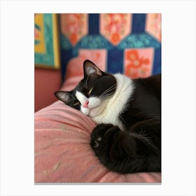 Cat Sleeping On A Pink Pillow Canvas Print