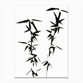 Black and white bamboo Canvas Print