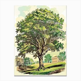 Paulownia Tree Storybook Illustration 1 Canvas Print