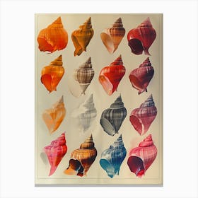 Seashells Canvas Print