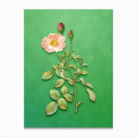 Vintage Sparkling Rose Botanical Art on Classic Green n.0289 Canvas Print