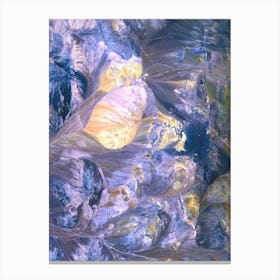 Nasa'S Nebula Canvas Print