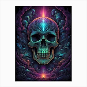 Skull And Psychedelics Canvas Print