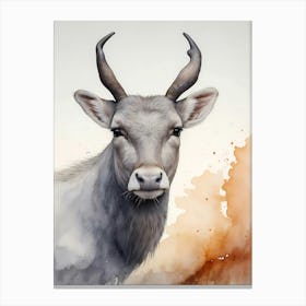 Antelope 1 Canvas Print