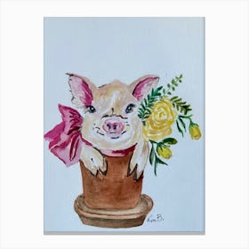 Piggy In A Pot Canvas Print