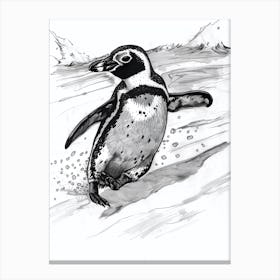 African Penguin Sliding On Ice 2 Canvas Print