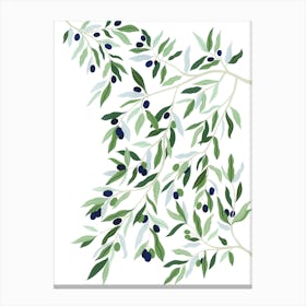 Mediterranean Plant Olive Tree Botanical Painting Canvas Print