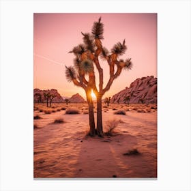  Photograph Of A Joshua Trees At Dawn In Desert 4 Canvas Print