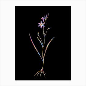 Stained Glass Ixia Secunda Mosaic Botanical Illustration on Black n.0076 Canvas Print