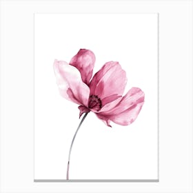 Watercolor Pink Poppy Flower Canvas Print