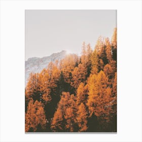 Orange Mountain Trees Canvas Print