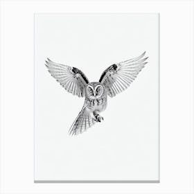 Owl B&W Pencil Drawing 5 Bird Canvas Print