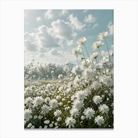 White Daisies Canvas Print