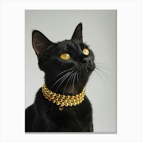 Cat With Gold Collar 1 Canvas Print