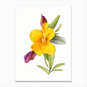 Sticky Monkeyflower Wildflower Watercolour Canvas Print