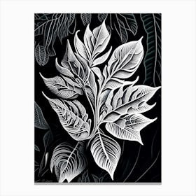 Australian Native Mint Leaf Linocut 1 Canvas Print