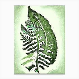 Lace Fern Vintage 1 Botanical Poster Canvas Print