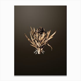 Gold Botanical Pygmy Iris on Chocolate Brown n.0530 Canvas Print