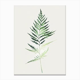 Hemlock Needle Leaf Minimalist Watercolour 2 Canvas Print