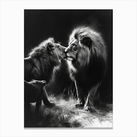 Barbary Lion Charcoal Drawing Interaction 2 Canvas Print
