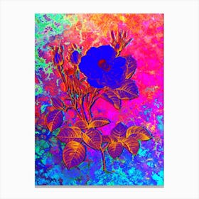 White Rose of York Botanical in Acid Neon Pink Green and Blue n.0027 Canvas Print
