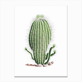 Rhipsalis Cactus Marker Art 1 Canvas Print