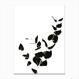 Botanical study - two Canvas Print