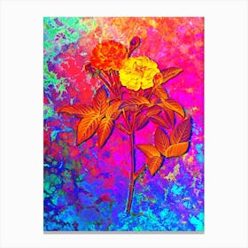 Van Eeden Rose Botanical in Acid Neon Pink Green and Blue Canvas Print