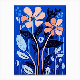 Blue Flower Illustration Kangaroo Paw 3 Canvas Print